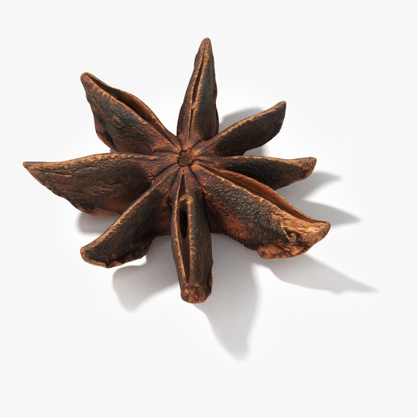 3D star anise - TurboSquid 1436810