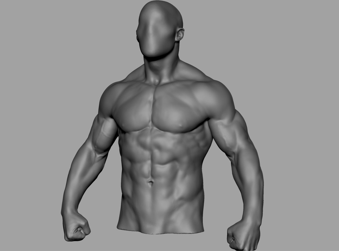 Modello 3d Torso Maschile V5 Turbosquid 1436862