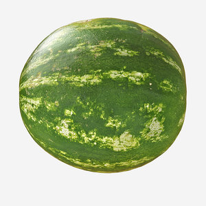 3D melon realistic model
