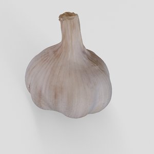 garlic 3D model