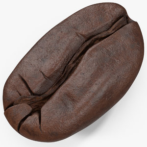 coffee bean roasted 1 3D model