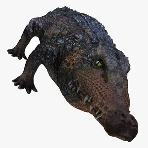 crocodile 3D model
