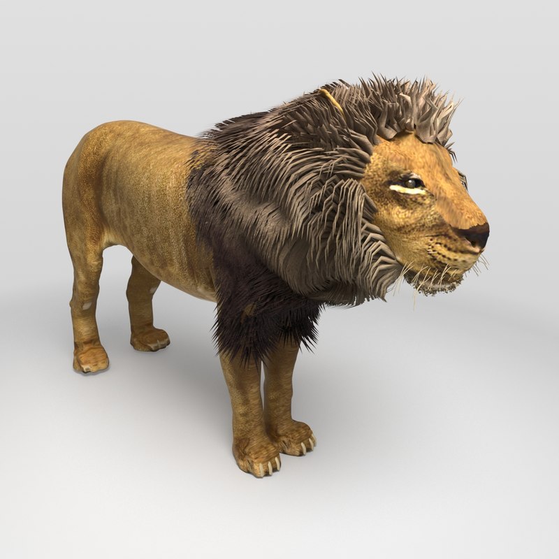 Male lion 3D - TurboSquid 1437533