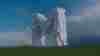 member avatar