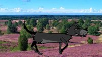 wolf CH quadruped puppet