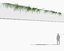 creeper plants: vernonia elliptica 3D model