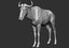 antelope gnu wildebeest connochaetes model