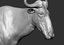 antelope gnu wildebeest connochaetes model
