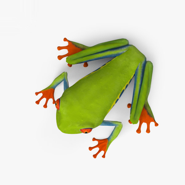 treefrog model pro 1