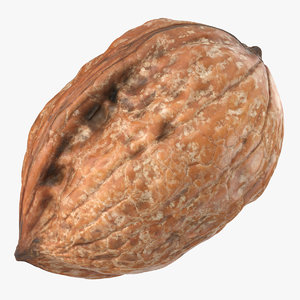 walnut 03 3D model