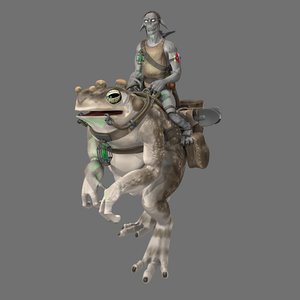 3D troll toad ride