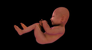 born baby 3D model