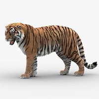 Animals 3d models
