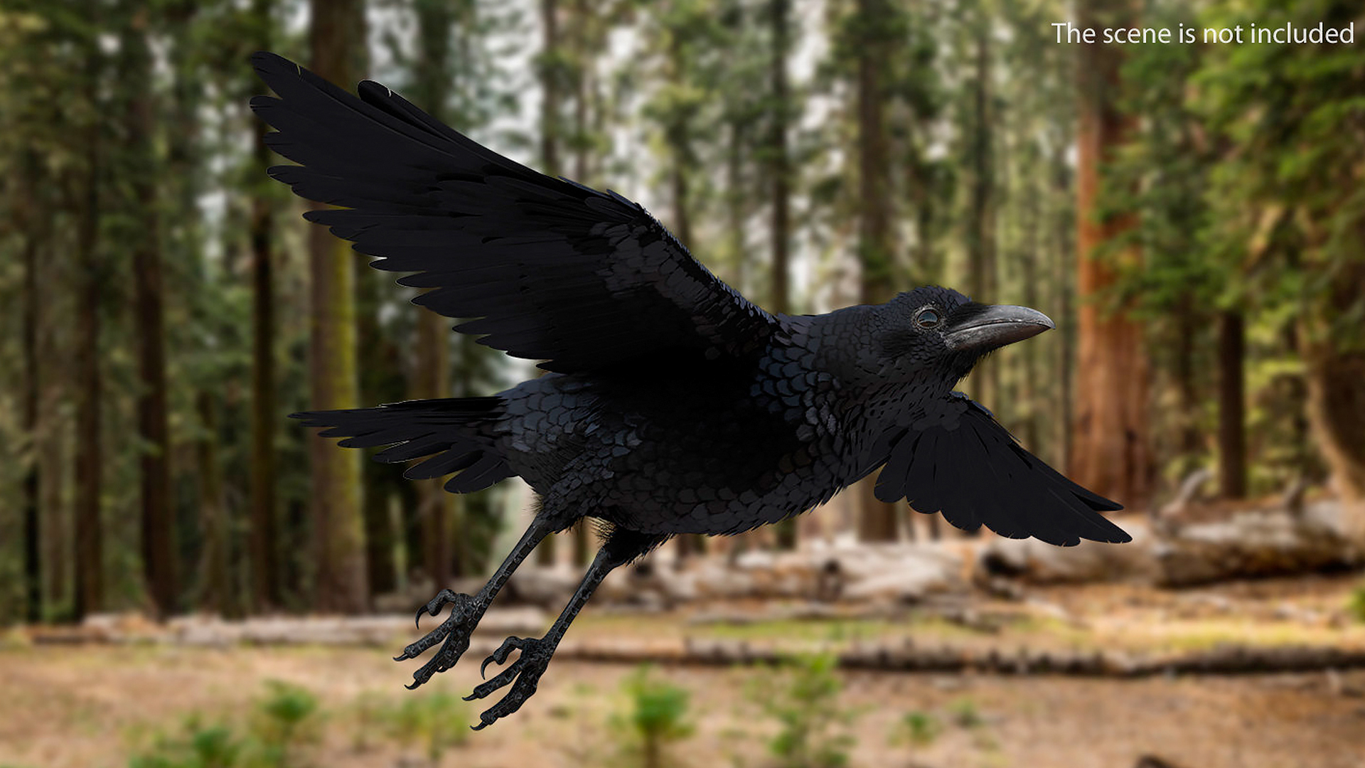 raven jumping rigged animate model