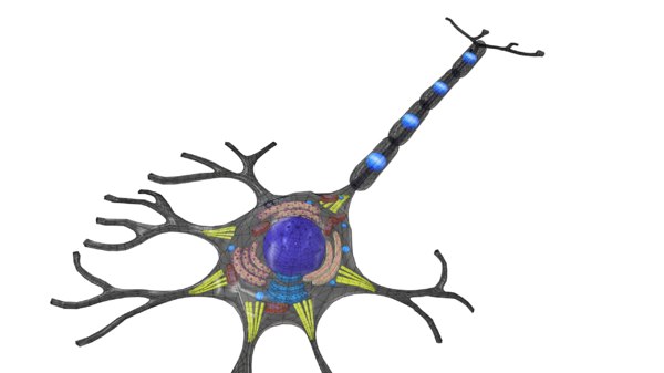 maya神经元模型