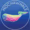 member avatar