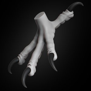 eagle claw animal 2019 3D model