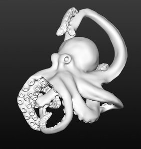 3D animal octopus