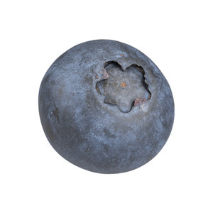 3D photorealistic scanned blueberry model