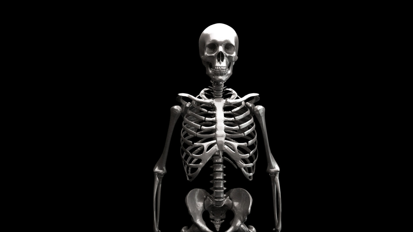 人体骨骼3D模型 - TurboSquid 1440632