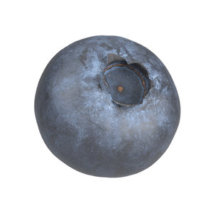 photorealistic scanned blueberry 3D