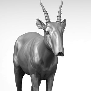 3D saiga antelope