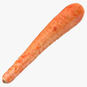 carrot 01 3D