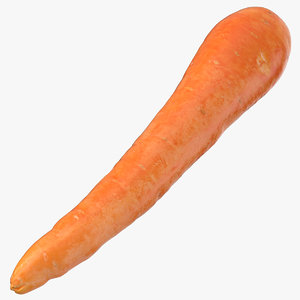 carrot 04 3D model