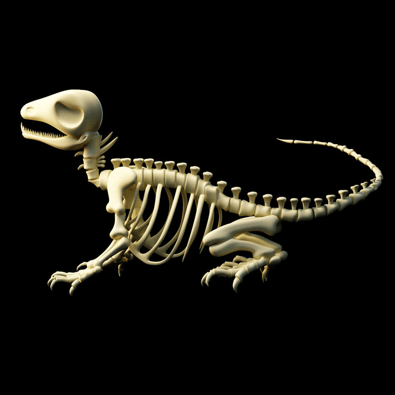 3D lizard skeleton - TurboSquid 1441799