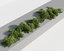 plants 3D model