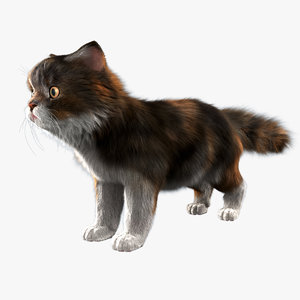 cat fur modeled 3D model
