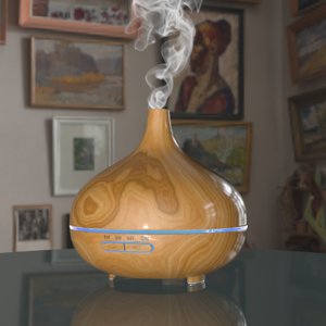 essential oil diffuser 3D