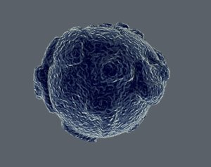 lymphocyte cells 3D model