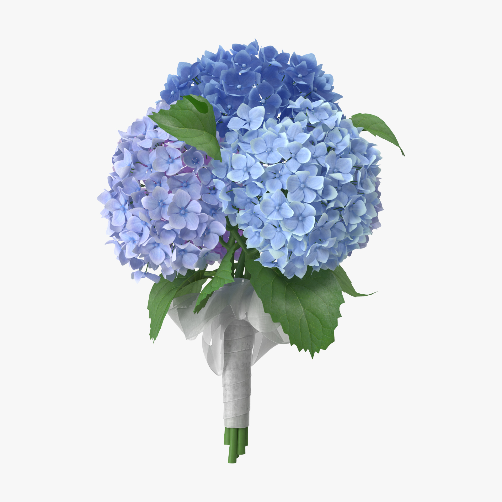 绣球花系列3d模型