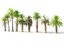 3D model palm pack 9 tree