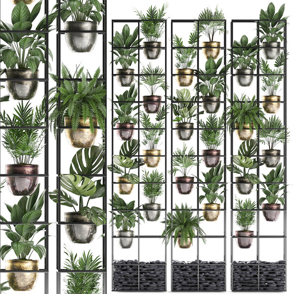 Vplants Ru Интернет Магазин Растений