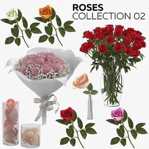 roses 02 model