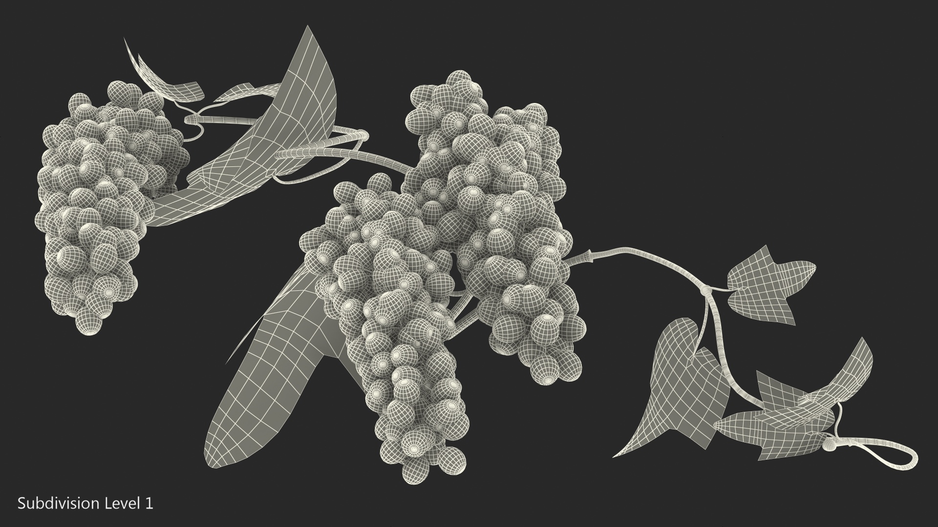 3D black bunch grapes branch - TurboSquid 1442563