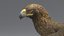 3D golden eagle rigged animate