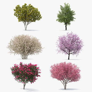 3D model flowering bushes trees 3