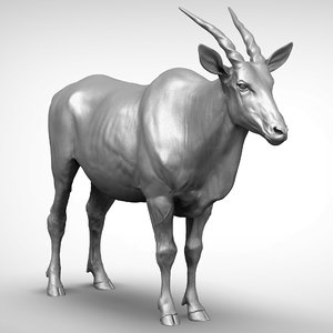 common eland taurotragus oryx 3D model