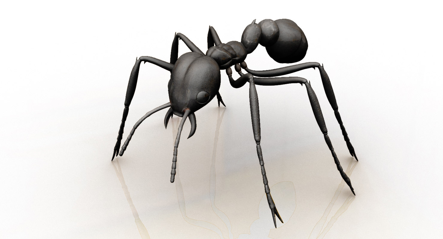 3D model ant TurboSquid 1442779