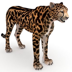 3D king cheetah