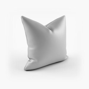 cushion 3D