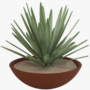 3d model of plant pot