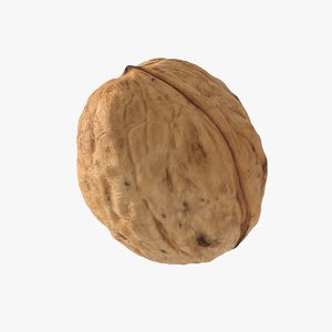 walnut nut 3D model