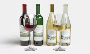 3D wine bottles glasses