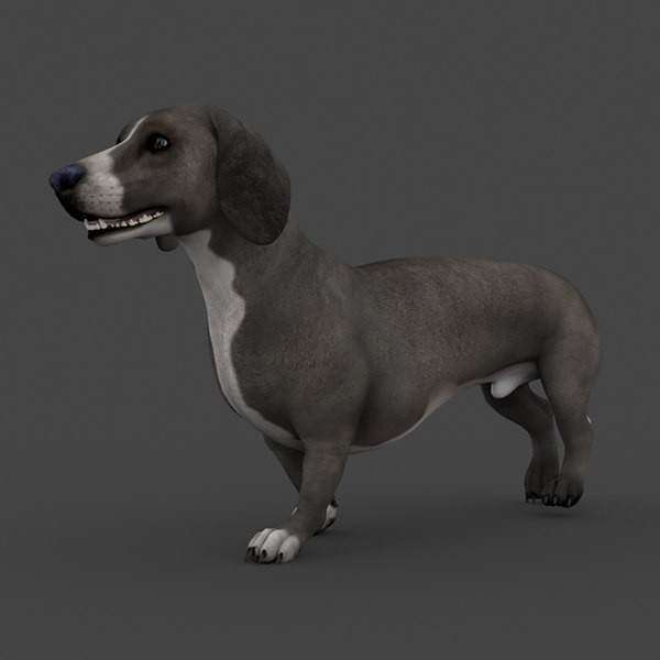 Anml 010犬3dモデル Turbosquid