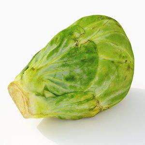 3D brussels sprout model