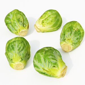 3D model set brussels sprouts